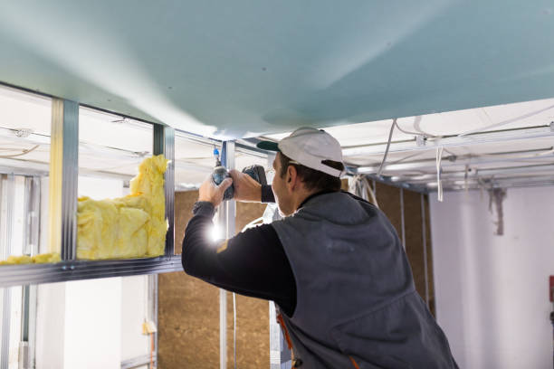 Best Eco-Friendly Insulation in Slater, IA