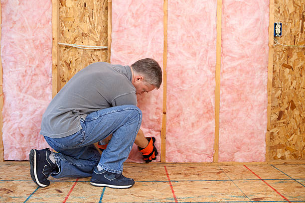 Best Insulation Maintenance and Repair in Slater, IA
